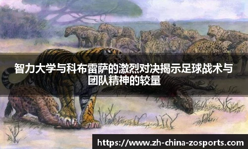 中欧体育官方网站